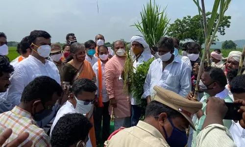 ఇకనుంచి రైతులకు ఆ ఇబ్బంది ఉండదు : కేంద్రమంత్రి నిర్మలా సీతారామన్ ఇకనుంచి రైతులకు ఆ ఇబ్బంది ఉండదు : కేంద్రమంత్రి నిర్మలా సీతారామన్