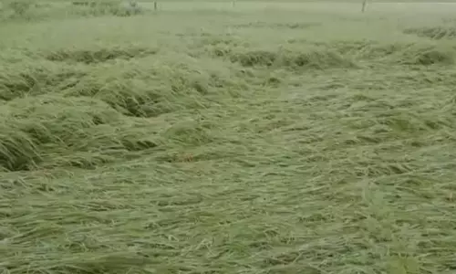 వర్షాలతో తీవ్ర ఇబ్బంది పడుతున్న రైతులు