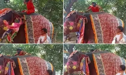 ఏనుగు పై నుంచి జారిపడ్డ బాబా రాందేవ్