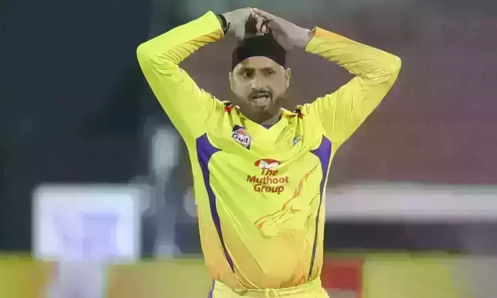 హర్భజన్ వర్సెస్ ధోని ఫ్యాన్స్.. ధోని ఫ్యాన్స్‌ని పందులతో పోల్చిన హర్భజన్