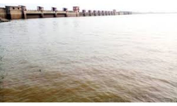 Kadem Project updates: కడెం ప్రాజెక్ట్ వరద ప్రవాహం...