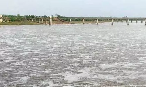 కాలుష్య కోరల్లో బాసర గోదావరి