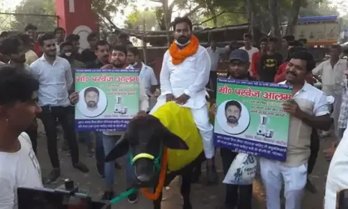 గేదెపై ఎన్నికల ప్రచారం చేశాడు.. పోలీసులు జైల్లో వేశారు!