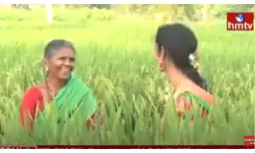 దివి గురించి గంగవ్వ-వీడియో