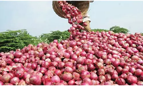 Onion Price: ఉల్లి ధరల జోరు.. వినియోగదారుల బేజారు!