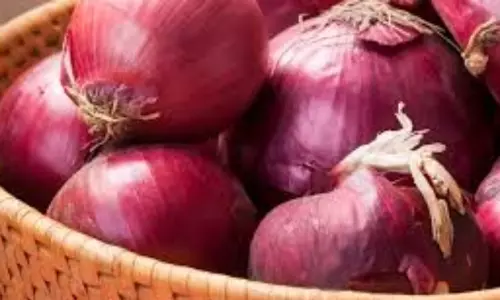తెలుగు రాష్ట్రాల్లో మండిపోతున్న ఉల్లి ధరలు