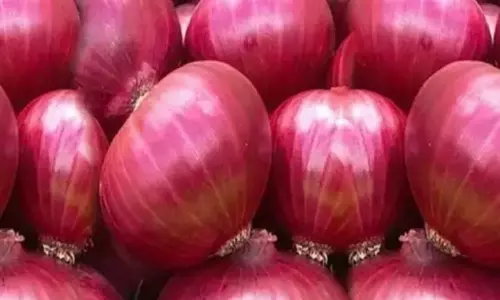 హైదరాబాద్‌వాసులకు శుభవార్త.. కిలో ఉల్లి రూ. 35కే