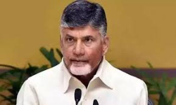 Amaravati Updates: టిడిపి సీనియర్ నాయకులతో చంద్రబాబు వీడియో కాన్ఫరెన్స్...