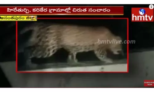 అనంతపురం లో చిరుత కలకలం-వీడియో అనంతపురం లో చిరుత కలకలం-వీడియో