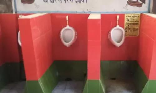 టాయిలెట్ టైల్స్ పైన పార్టీ జెండా రంగులు!