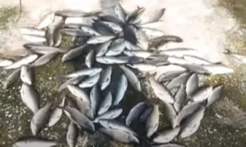 రైతుల పాలిట శాపంగా మారుతున్న ఫార్మ కంపెనీల వ్యర్ధాలు