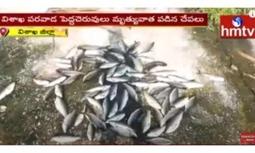 రైతుల పాలిట శాపంగా మారుతున్న ఫార్మా కంపెనీల వ్యర్థాలు-వీడియో