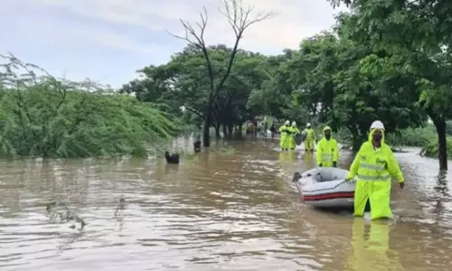 వచ్చే నెల రెండో వారంలో ఏపీకి కేంద్ర బృందం