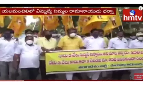 యలమంచిలిలో ఎమ్మెల్యే నిమ్మల రామానాయుడు ధర్నా-వీడియో