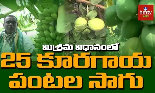 ఆదర్శ రైతు.. అబ్బురపరిచే వ్యవసాయం ఆదర్శ రైతు.. అబ్బురపరిచే వ్యవసాయం