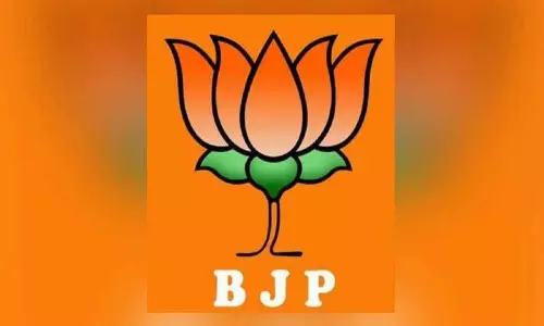 ఏపీ బీజేపీలో ముసలం మొదలైందా...?