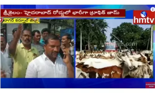 ఆవులతో ర్యాలీ చేపట్టిన నాగర్ కర్నూల్ రైతులు-వీడియో