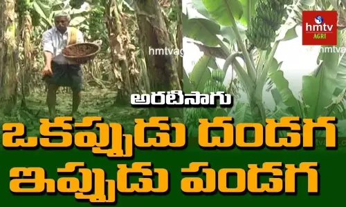 ఒకప్పుడు నష్టాలు, ఇప్పుడు అవార్డులు.. ఆదర్శ రైతు విజయగాధ..