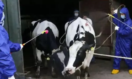 చైనాలో వెలుగులోకి వచ్చిన మరో ప్రాణాంతక బ్యాక్టీరియా