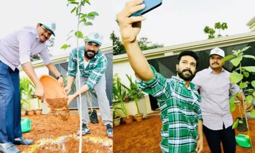 మెగా పవర్ స్టార్ కు చేరిన గ్రీన్ ఇండియా ఛాలెంజ్ మెగా పవర్ స్టార్ కు చేరిన గ్రీన్ ఇండియా ఛాలెంజ్