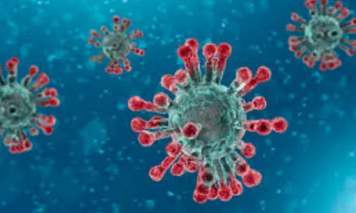 ఏపీలో కొత్తగా 2,237 కరోనా కేసులు, 12 మరణాలు