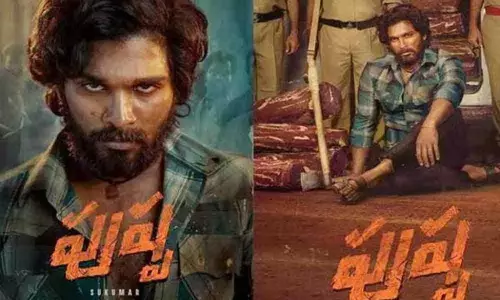 బన్నీ ఫ్యాన్స్‌కు చిత్ర యూనిట్‌ దిపావళి గిఫ్ట్