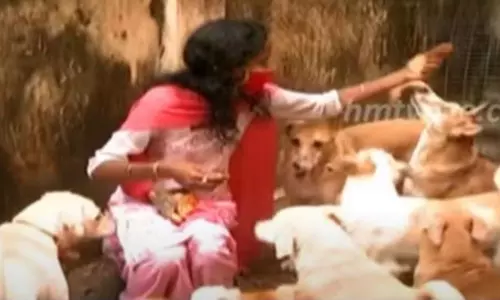వీధికుక్కలను ప్రాణంగా చూసుకుంటున్న కుటుంబం