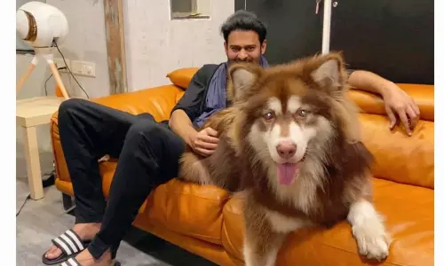 అభిమానులను అలరిస్తున్న ప్రభాస్ తాజా ఫోటో!