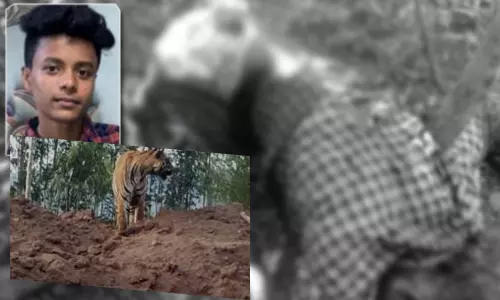 పులి దాడిలో యువకుని మృతితో అలెర్ట్ అయిన అటవీశాఖ