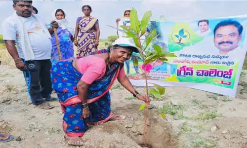 గ్రీన్ ఇండియా ఛాలెంజ్ లో పాల్గొన్న గంగవ్వ గ్రీన్ ఇండియా ఛాలెంజ్ లో పాల్గొన్న గంగవ్వ