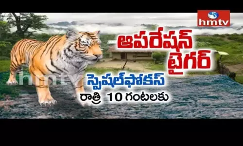 పులి కనిపించిందా.. నీడలా వెంటాడుతోందా? పులి కనిపించిందా.. నీడలా వెంటాడుతోందా?