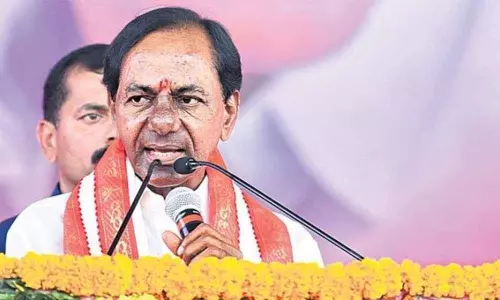 ఎల్బీ స్టేడియంలో గులాబీ ధూంధాం
