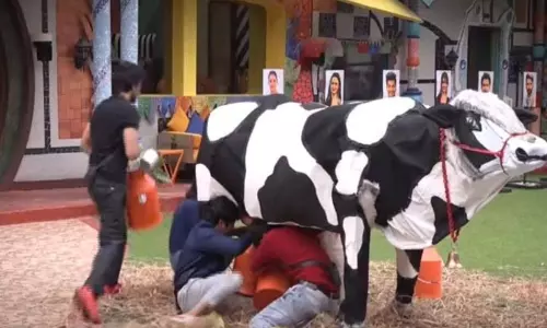 బిగ్‌బాస్ ట్రోఫీ గెలుచుకునేందుకు హోరాహోరీగా పోరు : రేస్ టు ఫినాలే‌కి శంఖం పూరించిన..