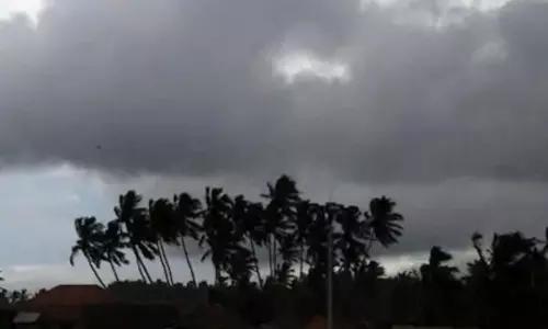 నెల్లూరు జిల్లా రైతులకు దెబ్బ మీద దెబ్బ