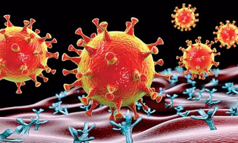 భారత్లో కొత్తగా 36,594 కరోనా పాజిటివ్ కేసులు భారత్లో కొత్తగా 36,594 కరోనా పాజిటివ్ కేసులు