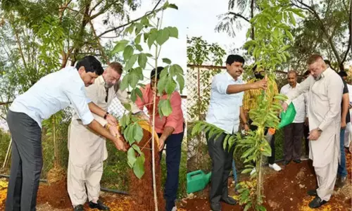 గ్రీన్ ఇండియా ఛాలెంజ్ లో పాల్గొన్న సంజయ్ దత్