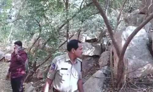 హైదరాబాద్‌ గచ్చిబౌలిలో చిరుత కలకలం