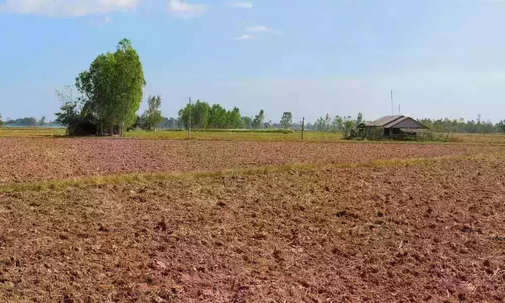 తెలంగాణలో రిజిస్ట్రేషన్లు షూరు.. పాత పద్ధతిలోనే..