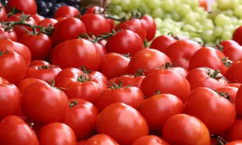 కర్నూలు జిల్లా పత్తికొండ మార్కెట్లో పడిపోయిన టమోట ధర కర్నూలు జిల్లా పత్తికొండ మార్కెట్లో పడిపోయిన టమోట ధర