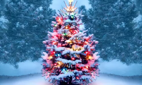 అట్టహాసంగా క్రిస్మస్ వేడుకలు అట్టహాసంగా క్రిస్మస్ వేడుకలు