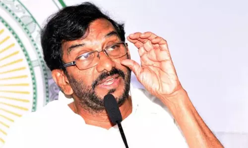 మంత్రి అనీల్ కు రైతుల బాధలు కనిపించడం లేదా : సోమిరెడ్డి