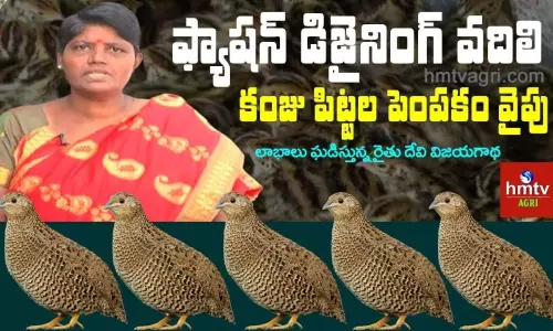 లాభాల బాటలో పయనిస్తున్న దేవిక