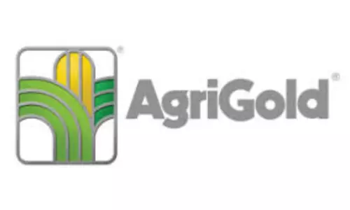 అగ్రిగోల్డ్‌ నిందితులను కస్టడీలోకి తీసుకున్న ఈడీ
