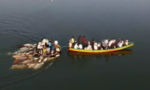 కృష్ణానదిలో ప్రమాదకరంగా పశువులు తరలింపు