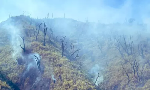 ఈశాన్య రాష్ట్రాలను భయపెడుతోన్న కార్చిచ్చు ఈశాన్య రాష్ట్రాలను భయపెడుతోన్న కార్చిచ్చు