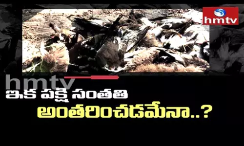 నోస్ట్రాడామస్ చెప్పిందే జరుగుతోందా..? నోస్ట్రాడామస్ చెప్పిందే జరుగుతోందా..?