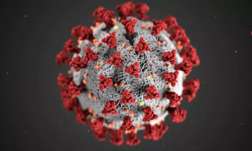 Coronavirus new strain in Britain