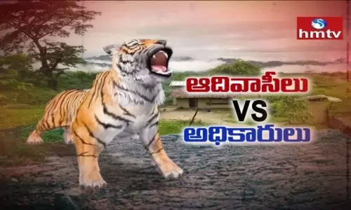 ఇన్ని పులులు ఎక్కడి నుంచి వచ్చాయి? ఇన్ని పులులు ఎక్కడి నుంచి వచ్చాయి?