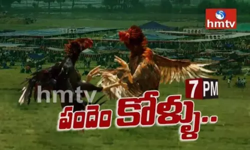 గిరి గీసి బరిలోకి దిగుతున్న పందెం కోళ్ళు
