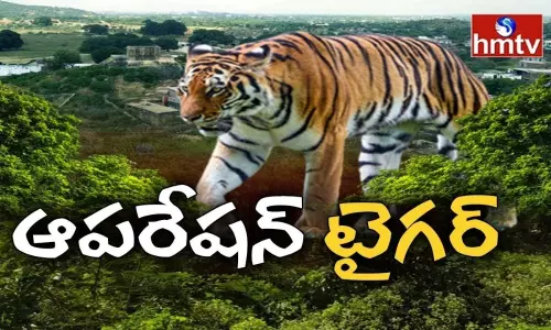 operation tiger in kagaznagar operation tiger in kagaznagar